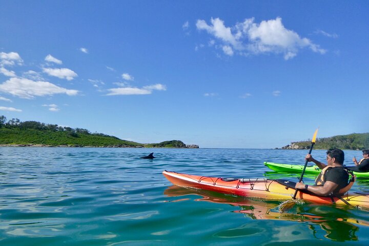 Half-Day Jervis Bay Sea Kayak Tour