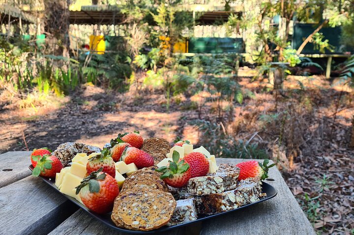 Dwellingup Trains, Trails & Woodfired Delights Full Day Tour