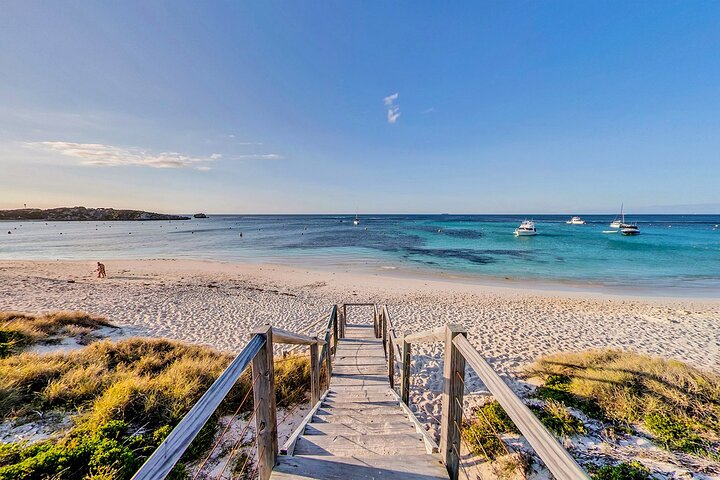 Discover Rottnest with Ferry & Bus Tour