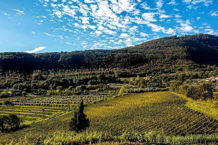 Sant'Agata de' Goti wine tasting and cooking class experience