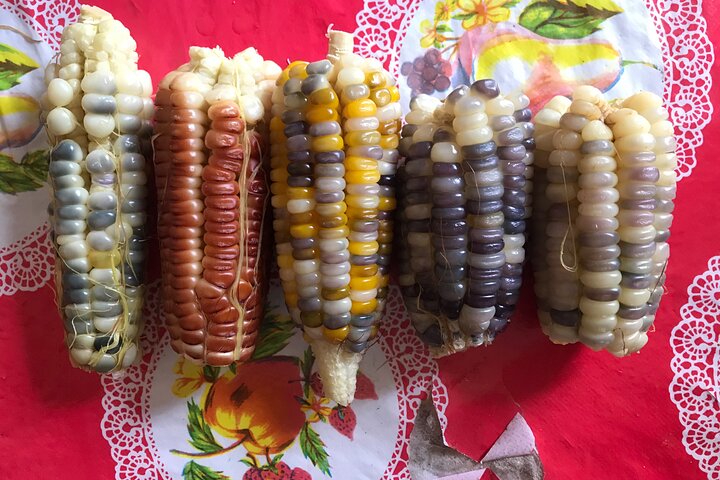 Oaxaca cooking: mole & tortilla class, market tour & mezcalitas