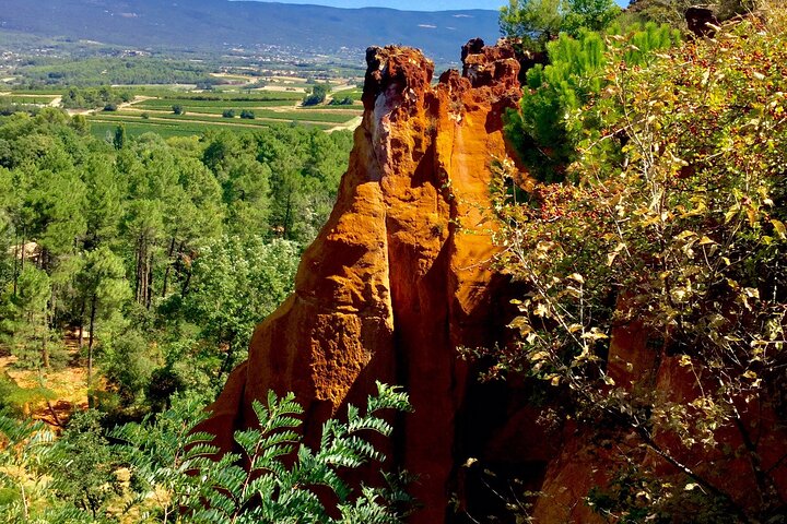 Provence Highlights Full-Day Tour from Avignon