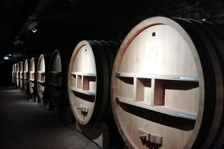 Provence Cru Wine Small-Group Half-Day Tour from Avignon