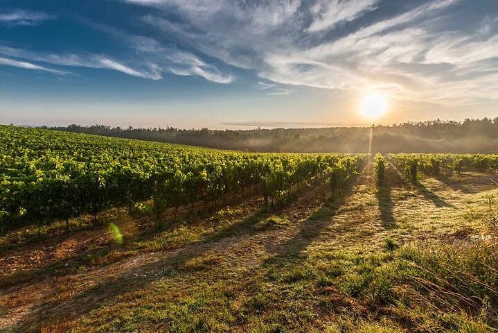 Sant'Agata de' Goti wine tasting and cooking class experience