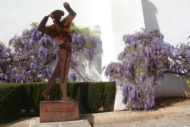 Discover Ronda and Setenil de las Bodegas in a Day from Málaga