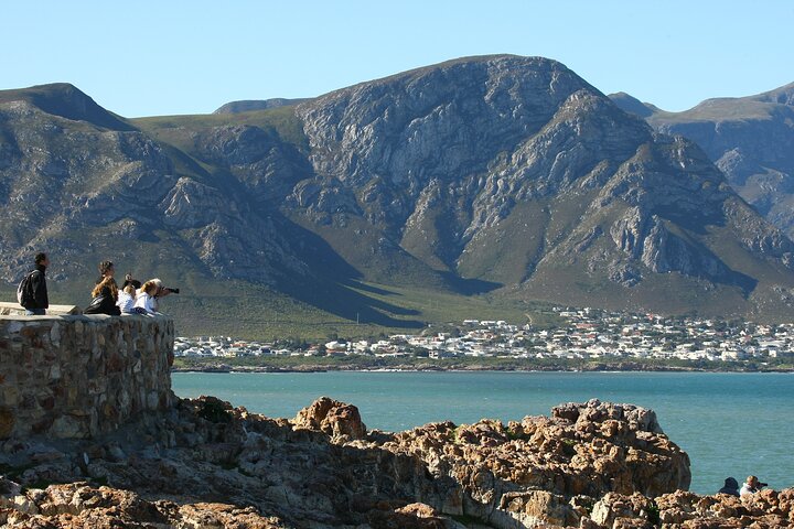 Hermanus Land based Whale Tour with Dave de Beer