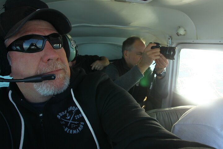 Hermanus Land based Whale Tour with Dave de Beer
