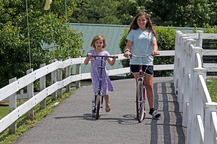 Premium Amish Country Tour including Amish Farm and House