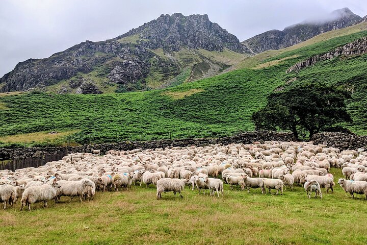 Snowdonia & The 3 Castles Tour