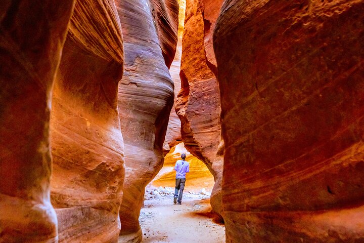 East Zion Crimson Canyon Hike & UTV Adventure