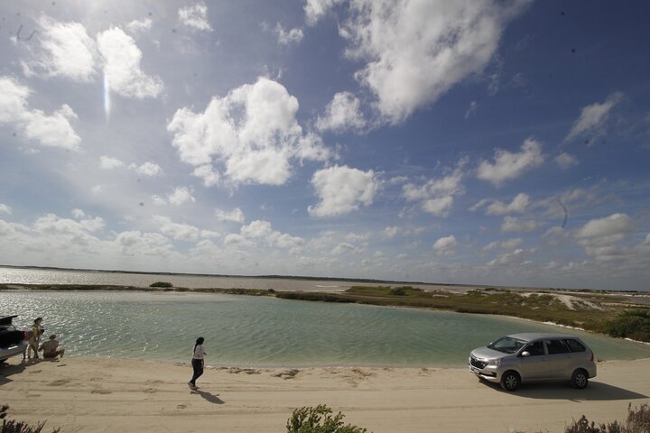 De Valladolid:Rio lagartos+Coloradas+Ek Balam+Cenote(Transporte)