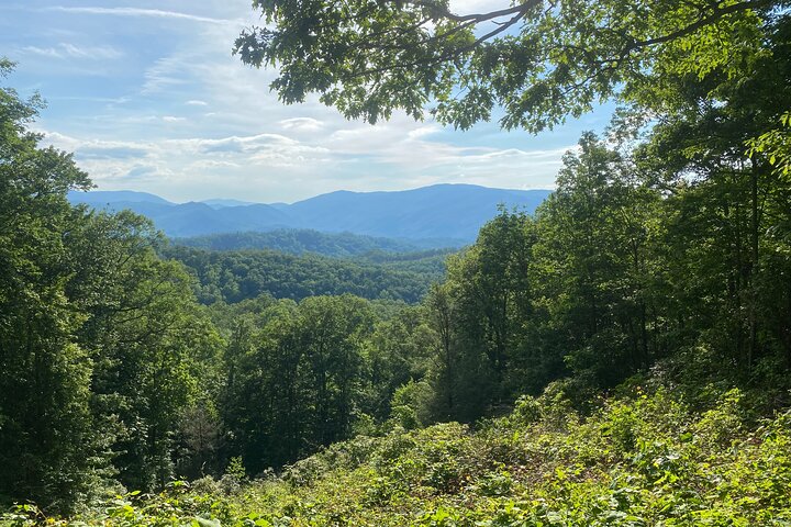 Smoky Mountains Roaring Fork Guided Sightseeing Tour by Jeep