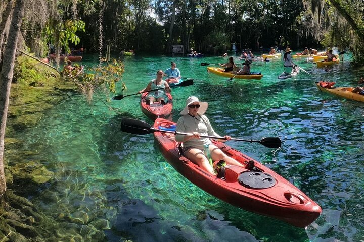 Three Sisters Springs Kayak And Swim Eco-Tour Crystal River