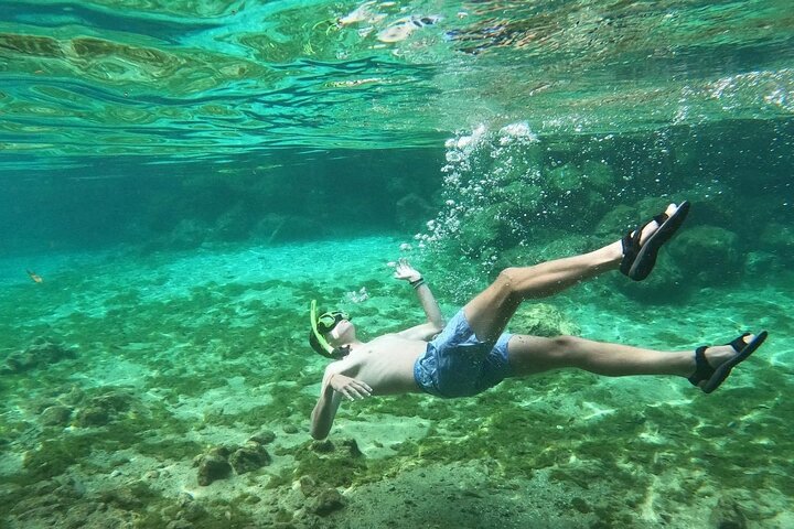 Three Sisters Springs Kayak And Swim Eco-Tour Crystal River