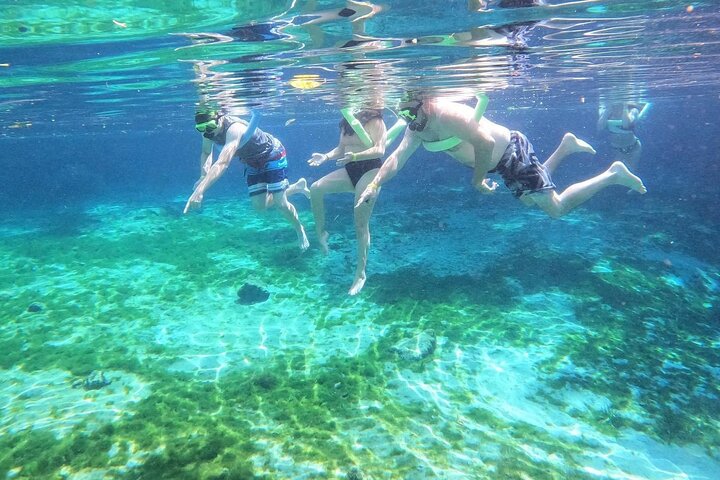 Three Sisters Springs Kayak And Swim Eco-Tour Crystal River