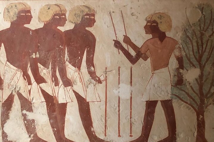 Day Tour West and East Banks of Luxor City Egypt