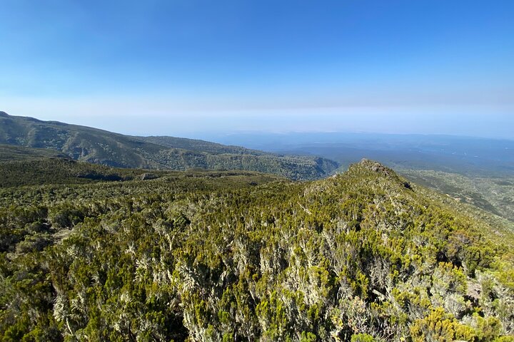 8 Days Lemosho Route