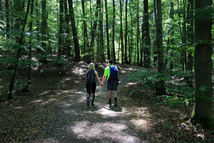 Bamberg Countryside Breweries Beer Hike Food Experience