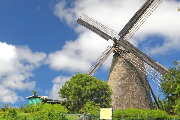 Full-Day Natural Heritage Tour in Barbados with Lunch