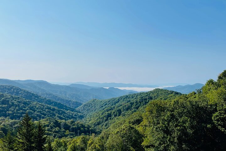 Smoky Mountains Newfound Gap Jeep Tour