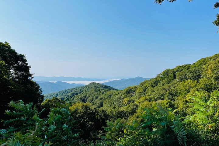Smoky Mountains Newfound Gap Jeep Tour