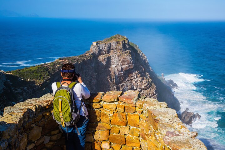 Half Day Boulders Penguins and Cape Point Small Group Tour