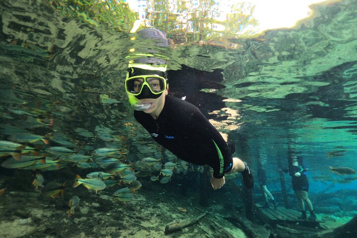 Skip the Line:Recanto Ecologico Rio da Prata Ticket including Trail & Snorkeling