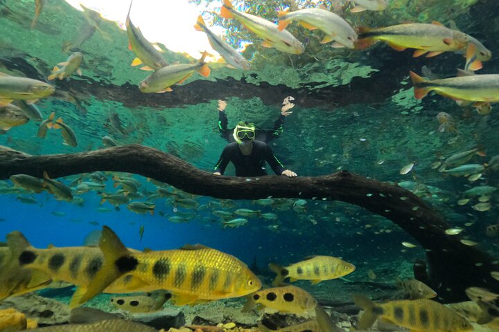 Skip the Line:Recanto Ecologico Rio da Prata Ticket including Trail & Snorkeling