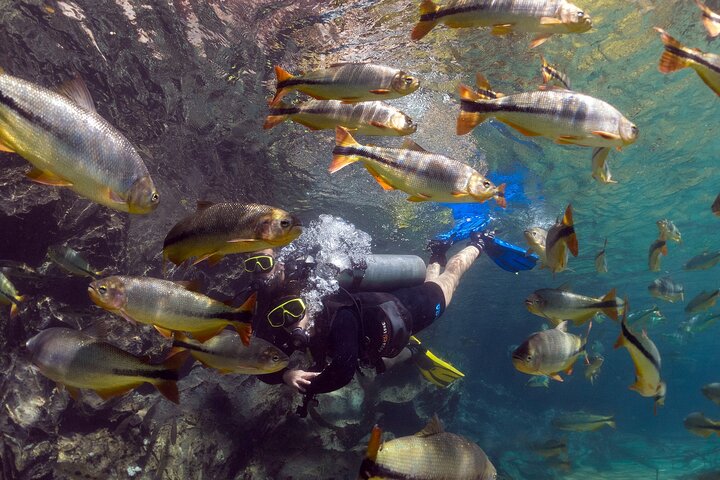 Skip the Line:Recanto Ecologico Rio da Prata Ticket including Trail & Snorkeling