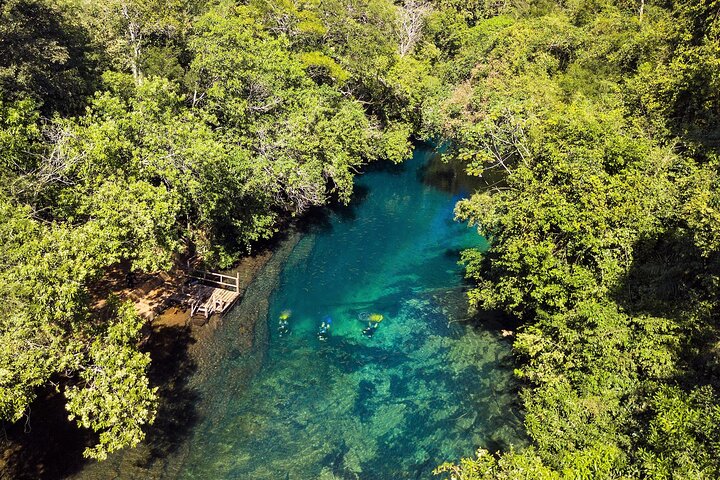 Skip the Line:Recanto Ecologico Rio da Prata Ticket including Trail & Snorkeling