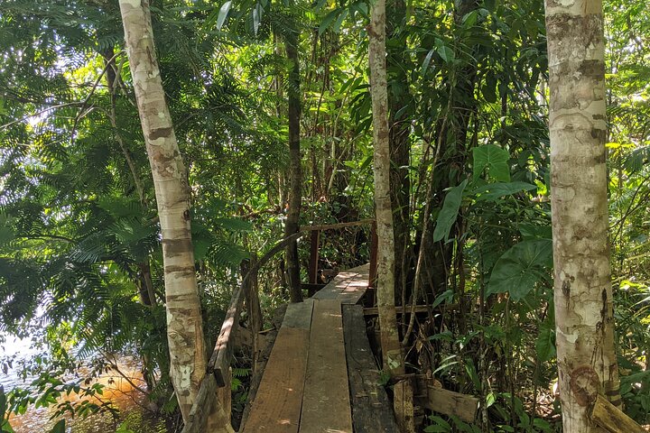 5 Island and Town Hopping Tour with Lunch