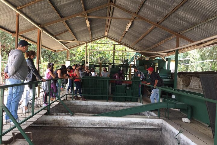 Antigua ATV Coffee Tour
