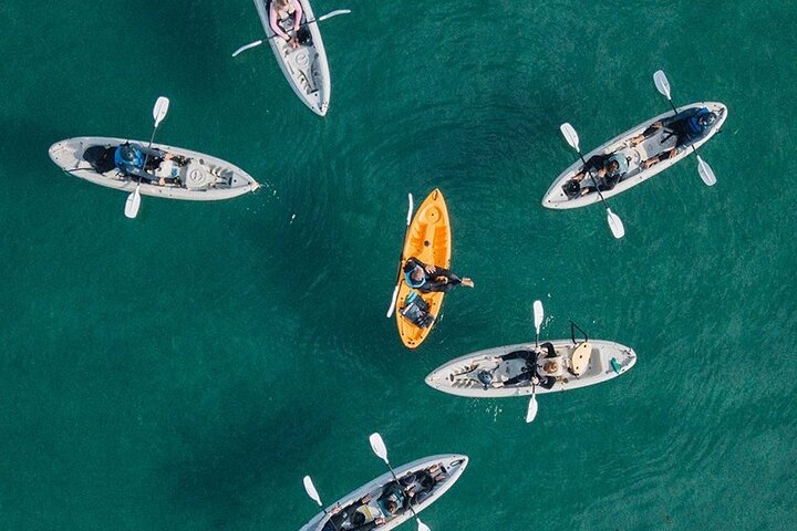 Original La Jolla Sea Cave Kayak Tour for Two