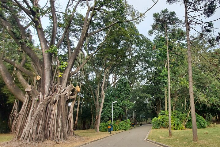Half-Day City Private Tour of São Paulo from GRU airport or any hotel