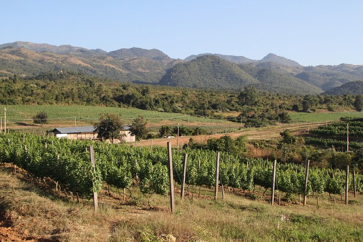 Full Day Inle Lake Trekking
