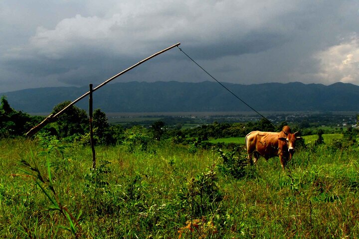 Full Day Inle Lake Trekking