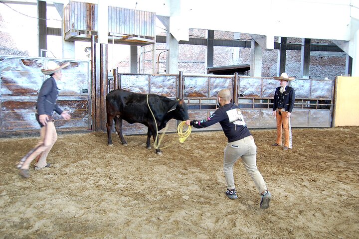 Charreria heritage tour be a charro for a day