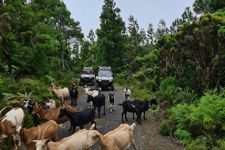 BUGGY TOUR - West / Center of the island (off-road)