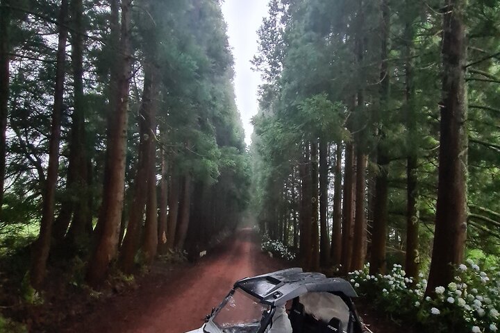 BUGGY TOUR - West / Center of the island (off-road)