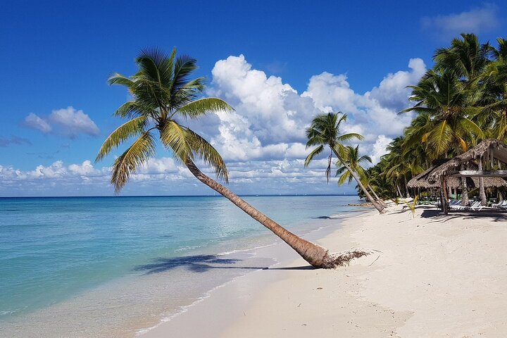 Saona Island, memorable all-inclusive experience, from Santo Domingo.