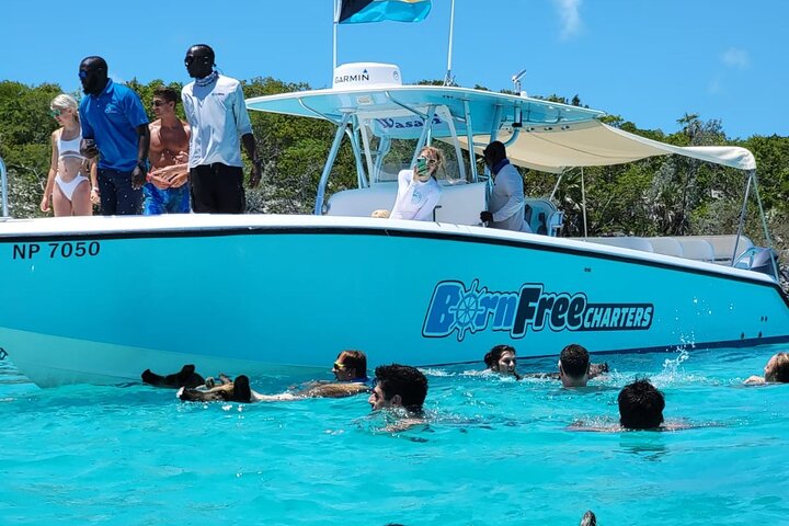 Exuma Island Hopping Swimming Pigs Tour with Lunch from Nassau