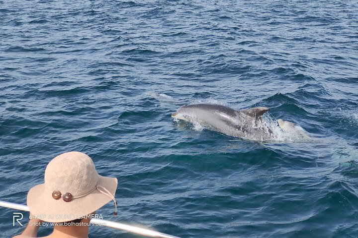 Sesimbra: Arrábida Dolphin and Whale Watching tour with biologist