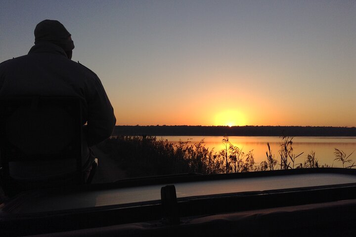 Safari Game Drive: Dinokeng Game Reserve