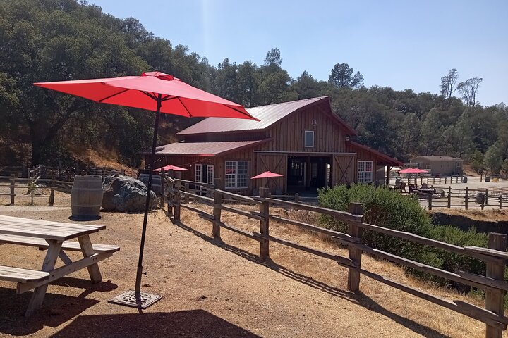 Sonoma Horseback-Riding Tour