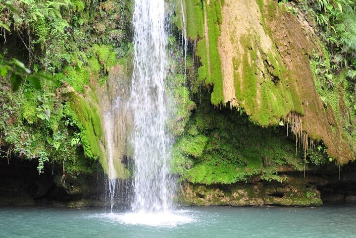 Samaná Island & Waterfall Adventure: Bacardi Beach Experience