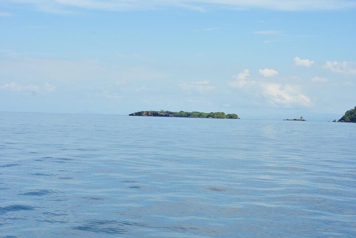 Samaná Island & Waterfall Adventure: Bacardi Beach Experience