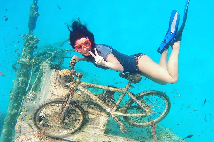 Maafushi: Ship wreck & Nurse shark snorkeling with Dolphin watching