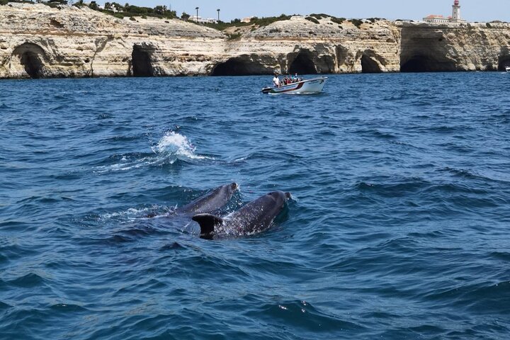 Benagil Caves Tour from Portimao - Small Groups