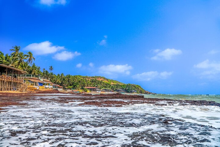 Discover Goa: A Full-Day Private City Tour