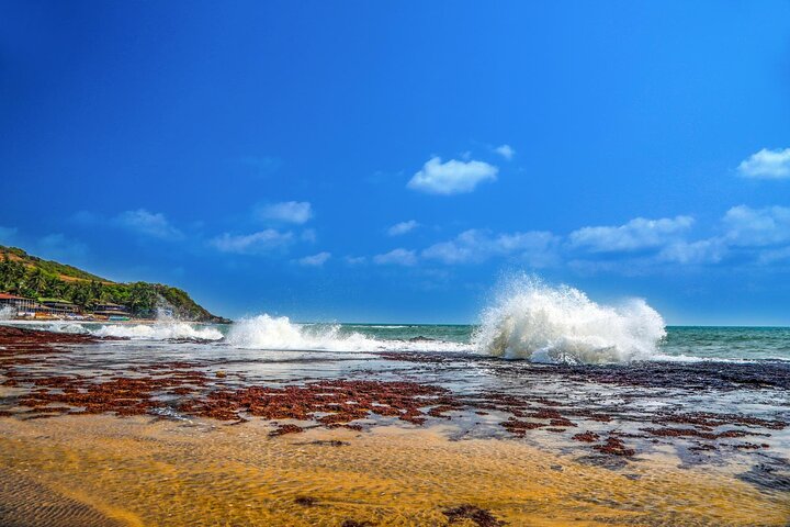 Discover Goa: A Full-Day Private City Tour
